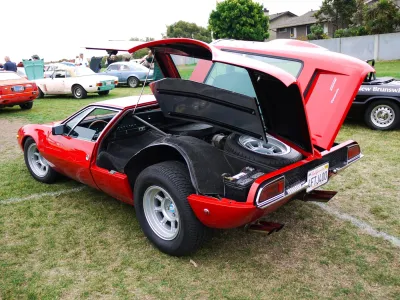 Mangusta